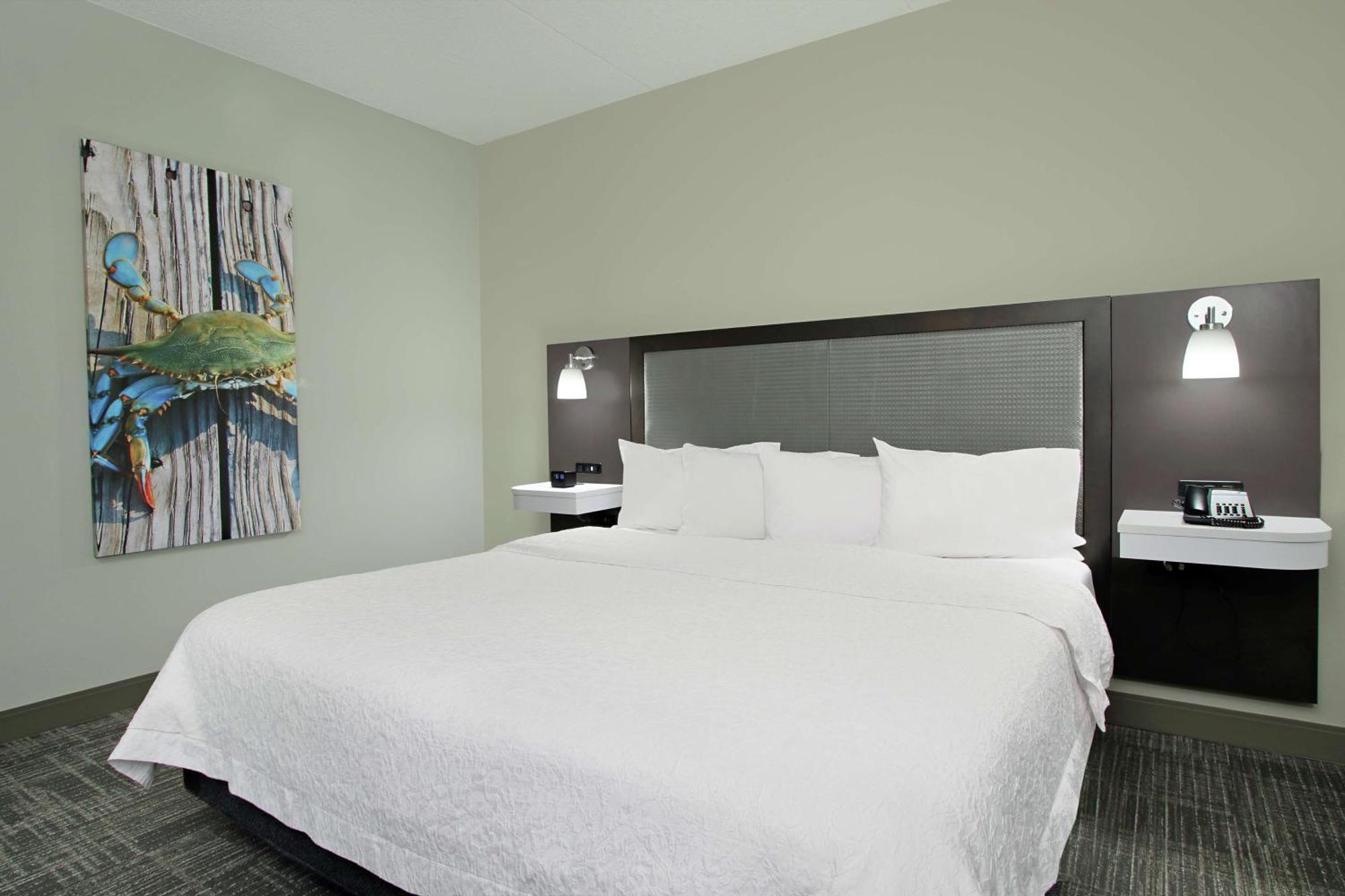 Hampton Inn Hagerstown-Maugansville Exterior foto